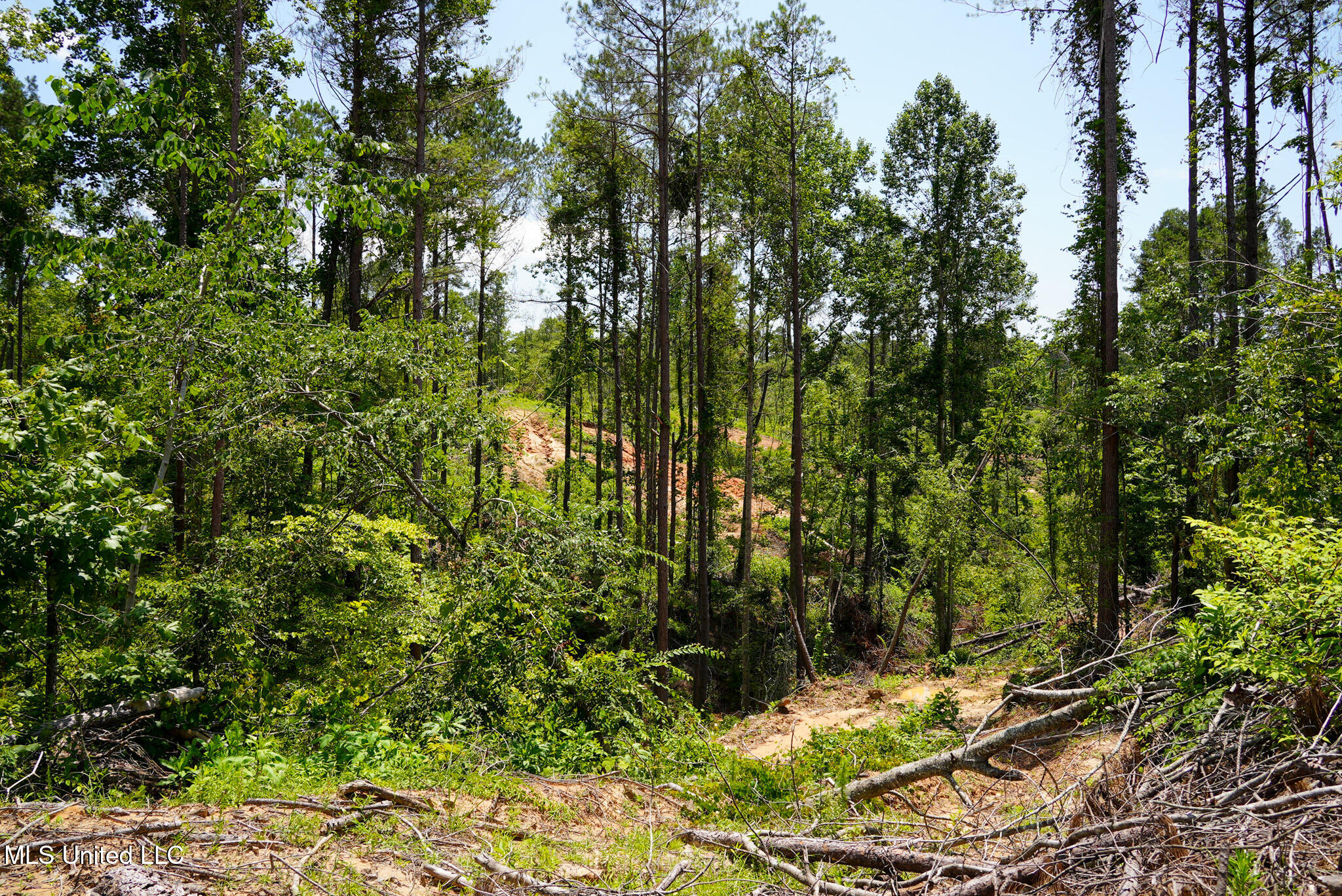 Pleasant Ridge Road Durant, MS 39063 - Photo 15 of 51 DSC01368