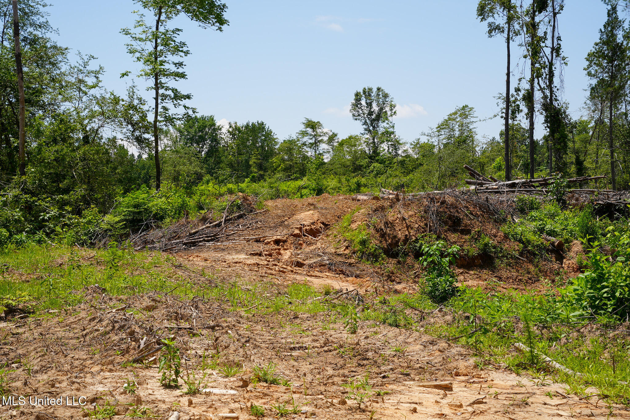 Pleasant Ridge Road Durant, MS 39063 - Photo 18 of 51 DSC01372
