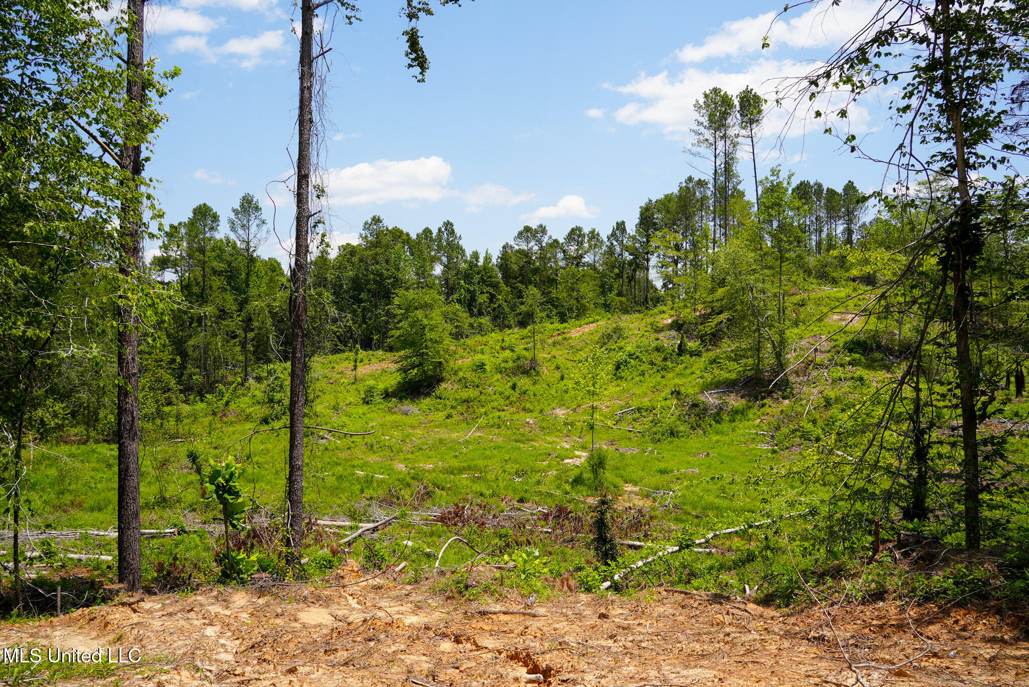 Pleasant Ridge Road Durant, MS 39063 - Photo 20 of 51 DSC01374