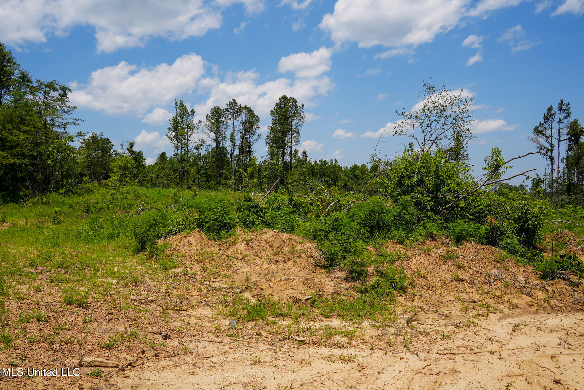 Pleasant Ridge Road Durant, MS 39063 - Photo 2 of 51 DSC01355