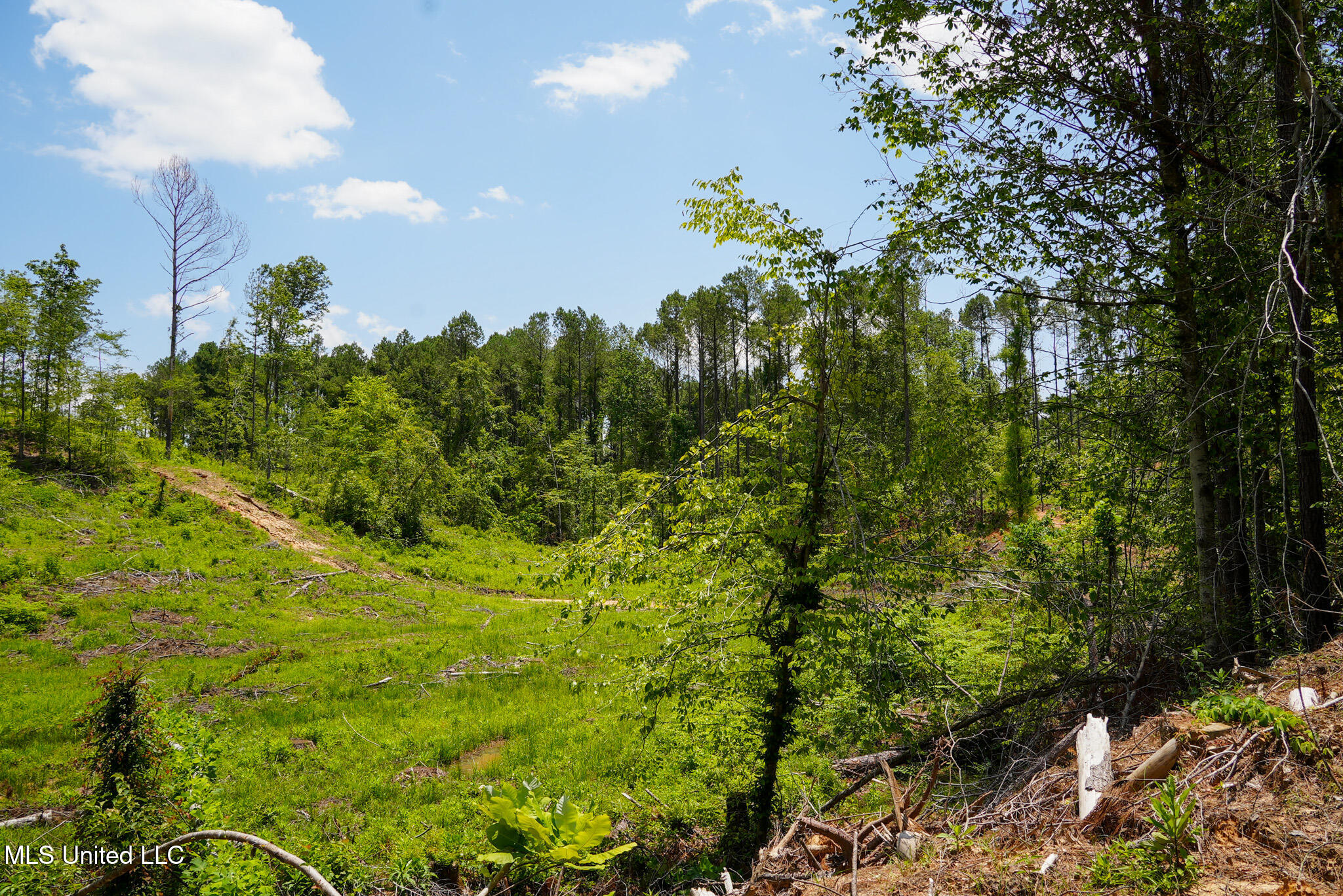 Pleasant Ridge Road Durant, MS 39063 - Photo 21 of 51 DSC01375