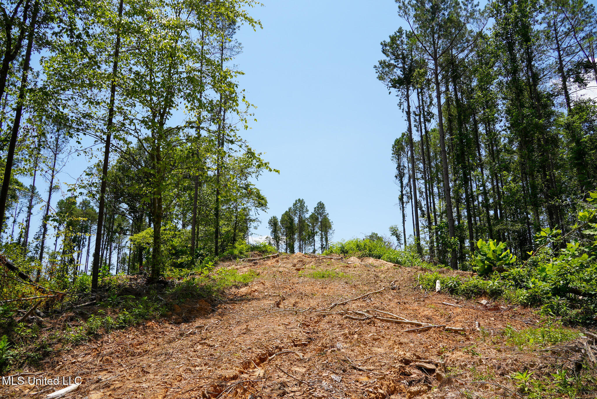Pleasant Ridge Road Durant, MS 39063 - Photo 22 of 51 DSC01376