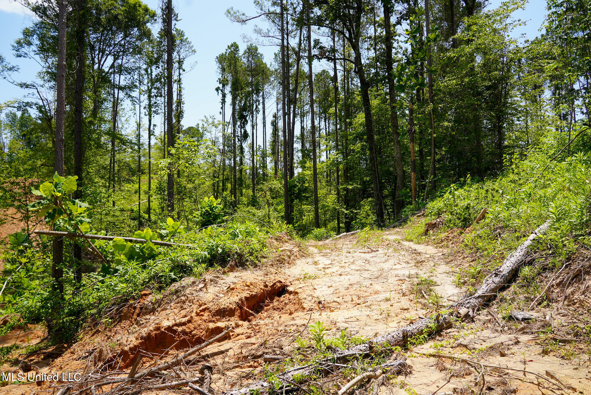 Pleasant Ridge Road Durant, MS 39063 - Photo 24 of 51 DSC01378