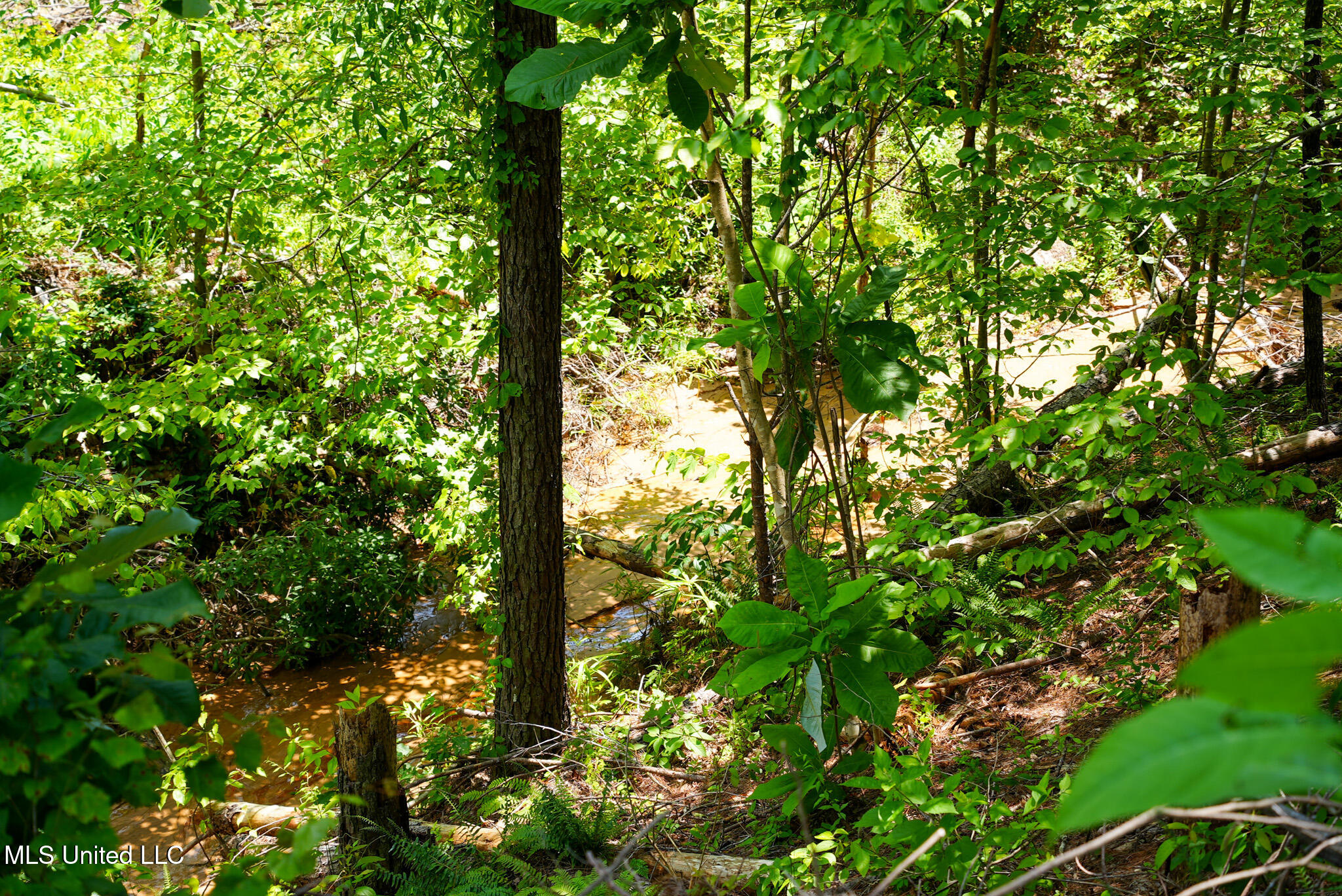 Pleasant Ridge Road Durant, MS 39063 - Photo 27 of 51 DSC01381