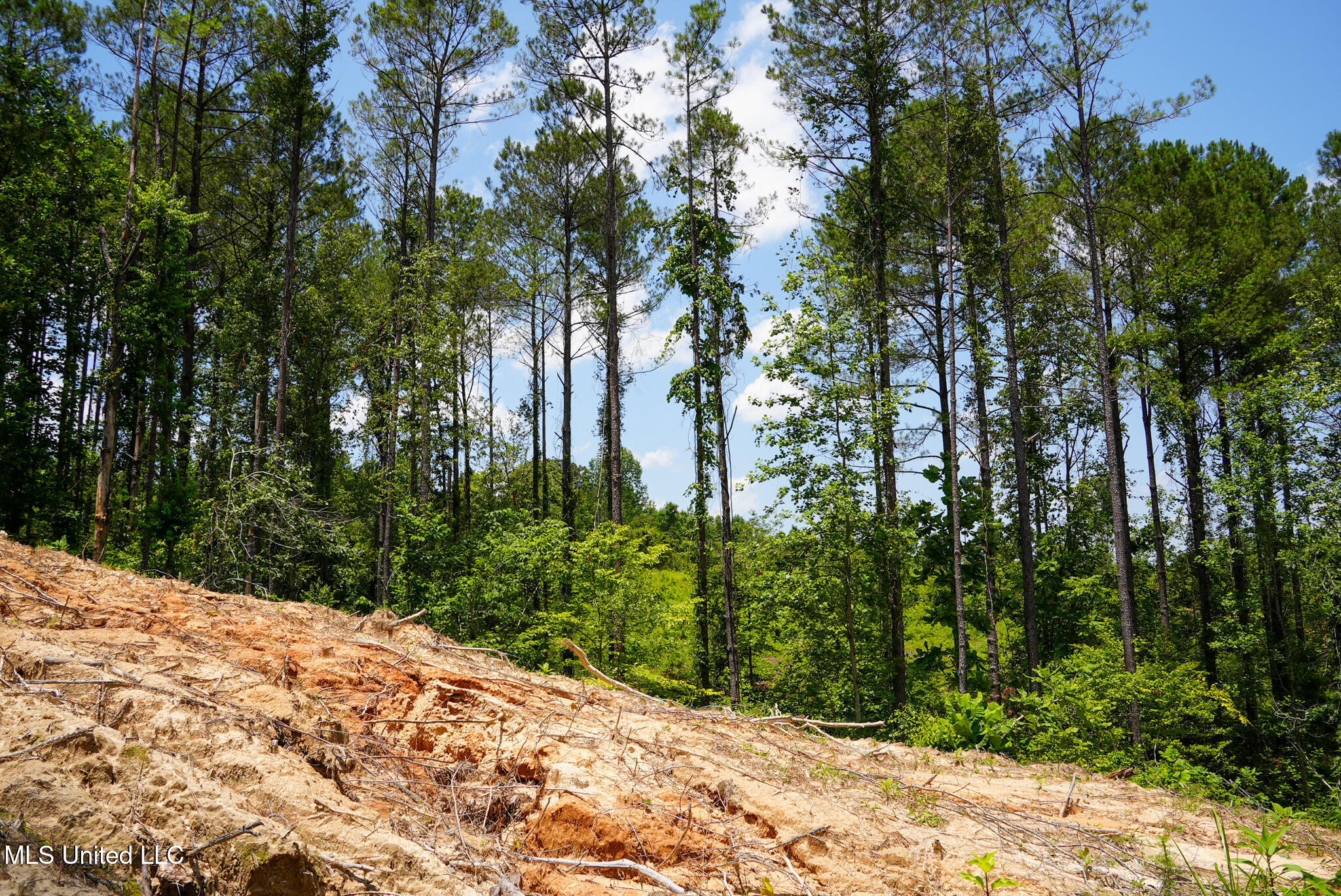 Pleasant Ridge Road Durant, MS 39063 - Photo 29 of 51 DSC01383