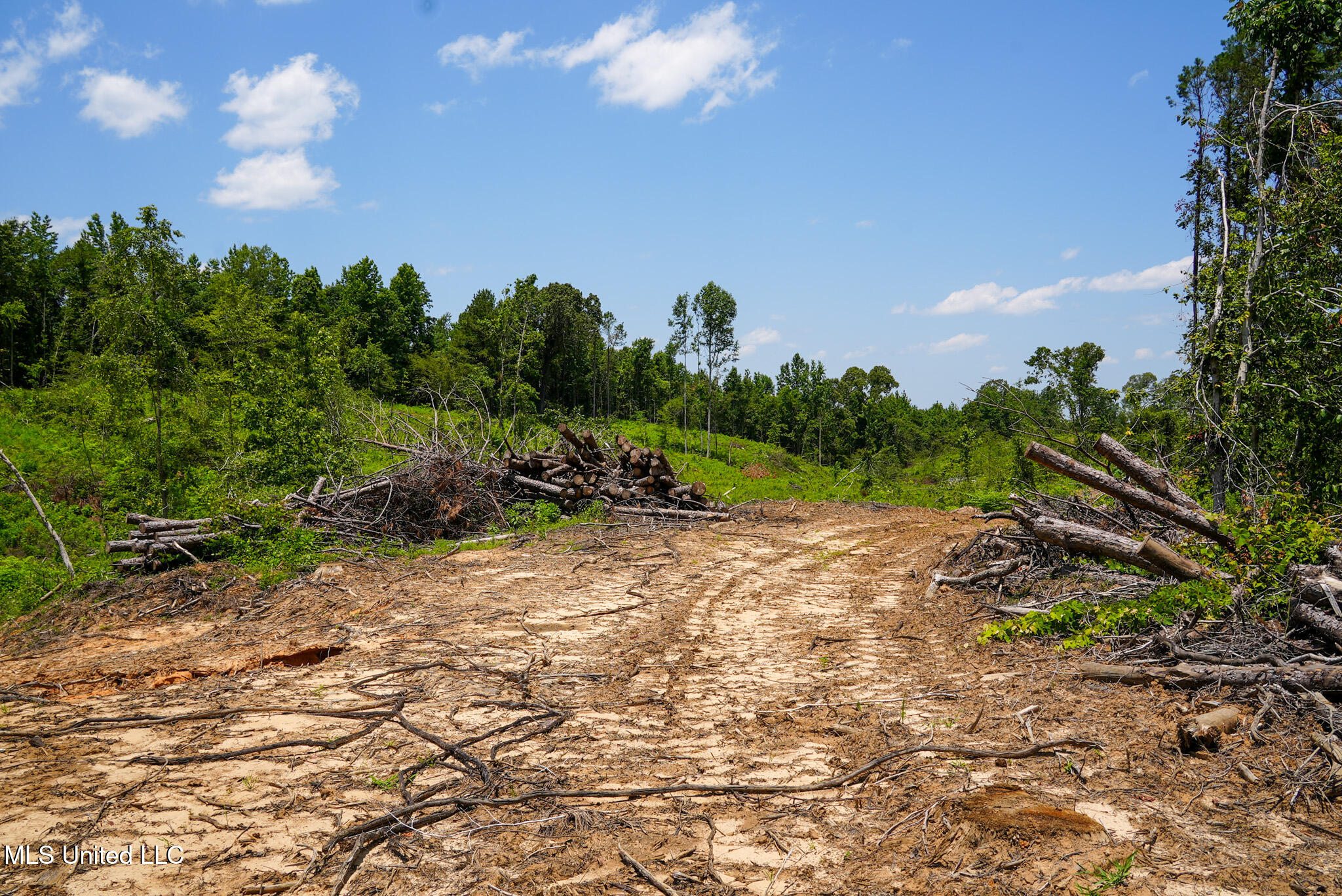 Pleasant Ridge Road Durant, MS 39063 - Photo 30 of 51 DSC01384