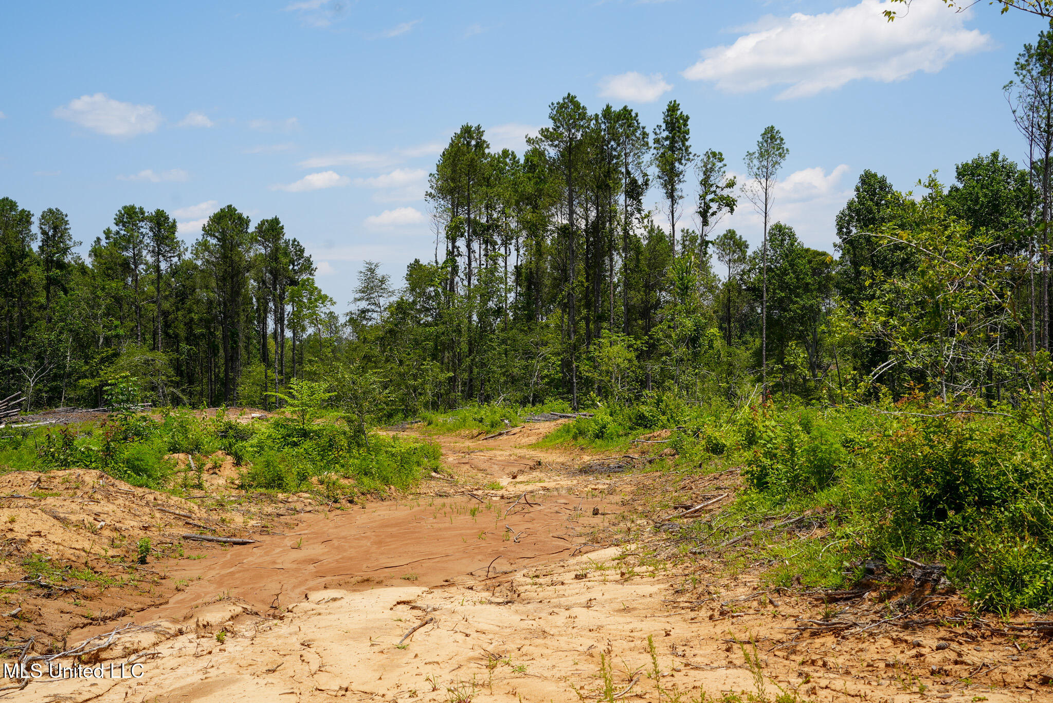 Pleasant Ridge Road Durant, MS 39063 - Photo 3 of 51 DSC01356