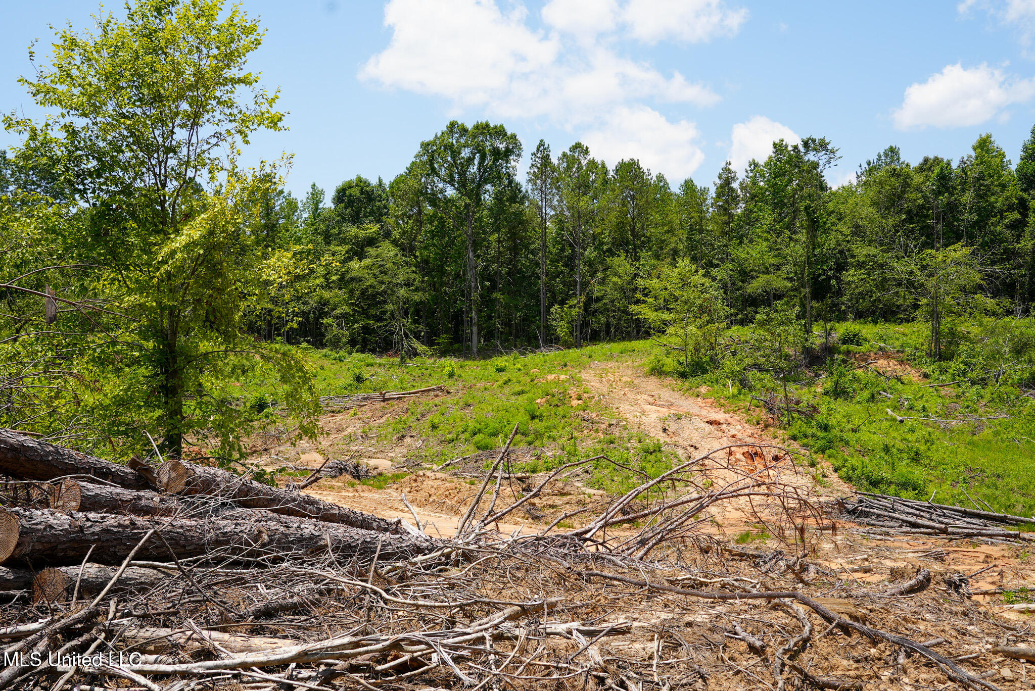 Pleasant Ridge Road Durant, MS 39063 - Photo 31 of 51 DSC01385