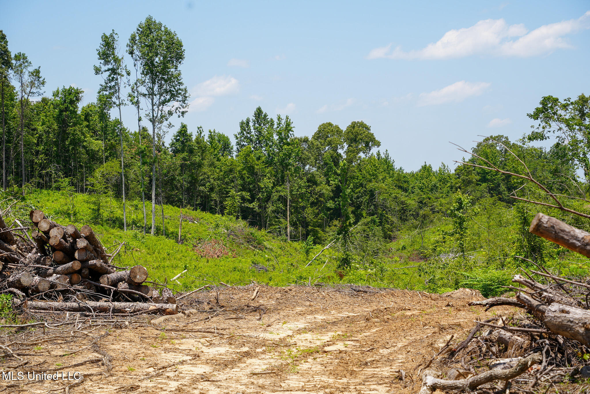 Pleasant Ridge Road Durant, MS 39063 - Photo 32 of 51 DSC01386