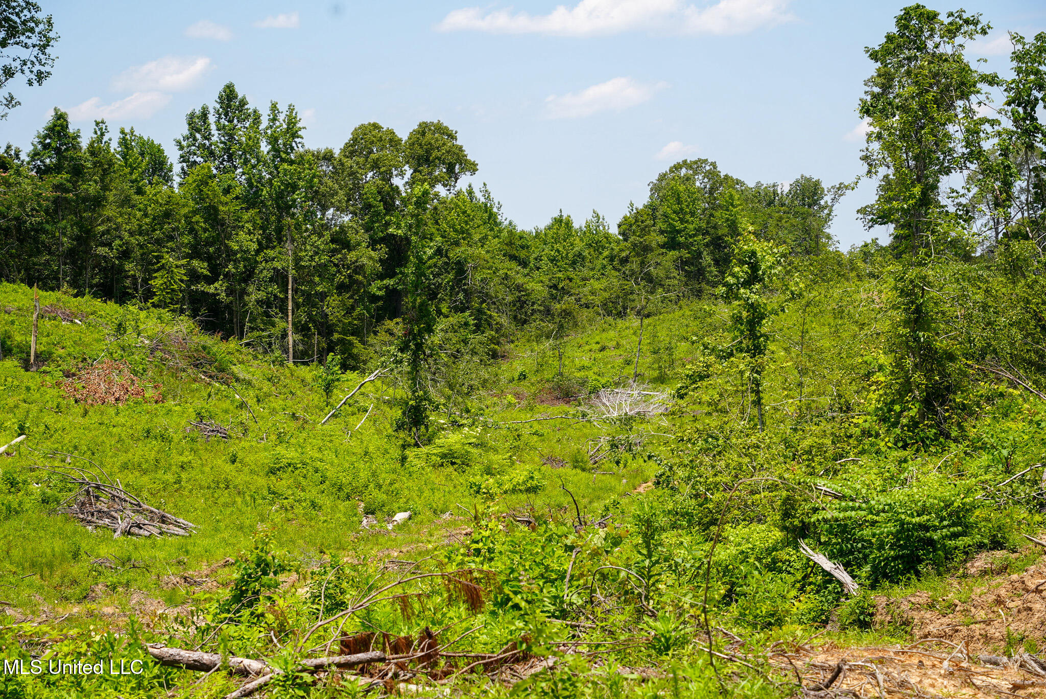 Pleasant Ridge Road Durant, MS 39063 - Photo 33 of 51 DSC01387