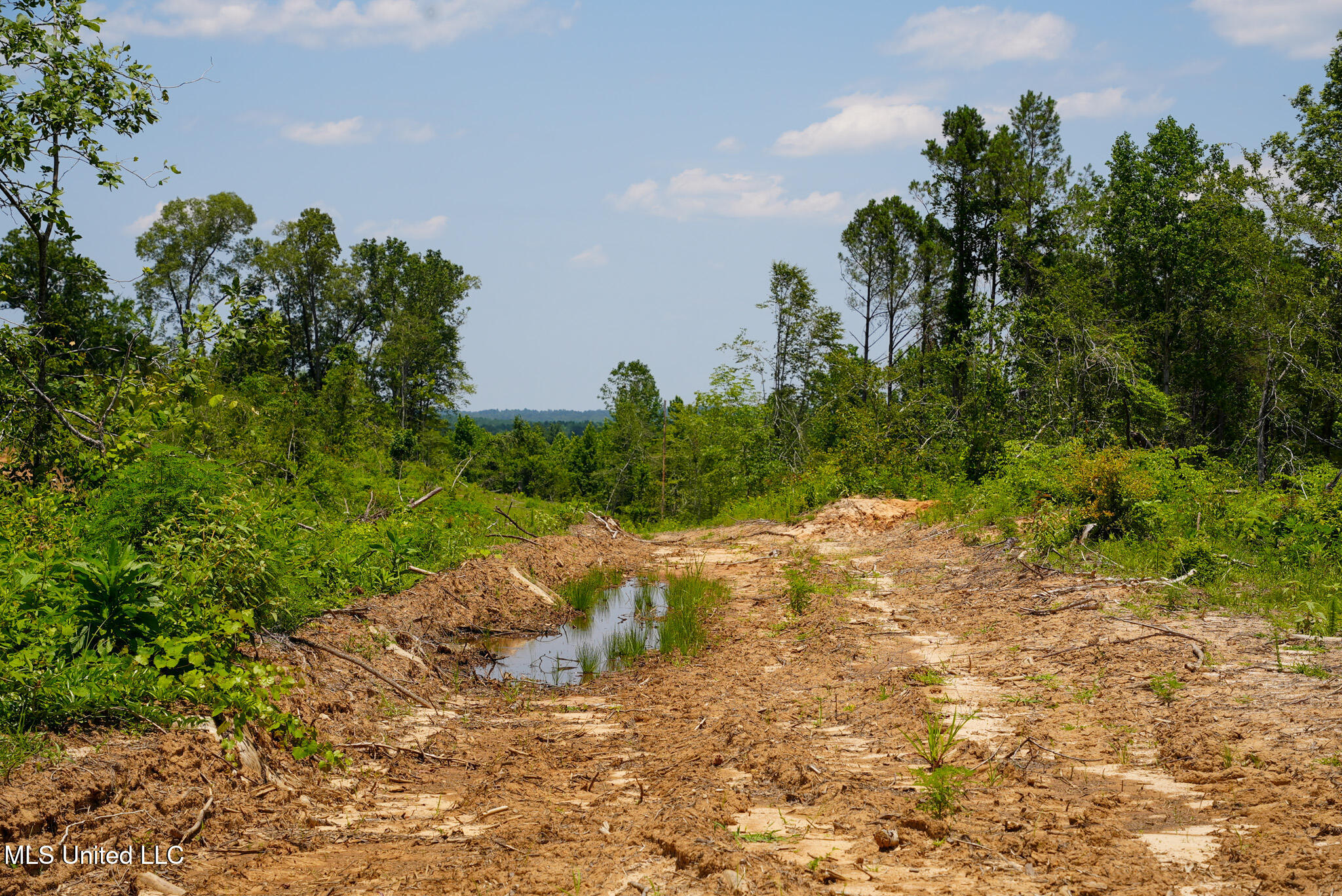 Pleasant Ridge Road Durant, MS 39063 - Photo 35 of 51 DSC01389