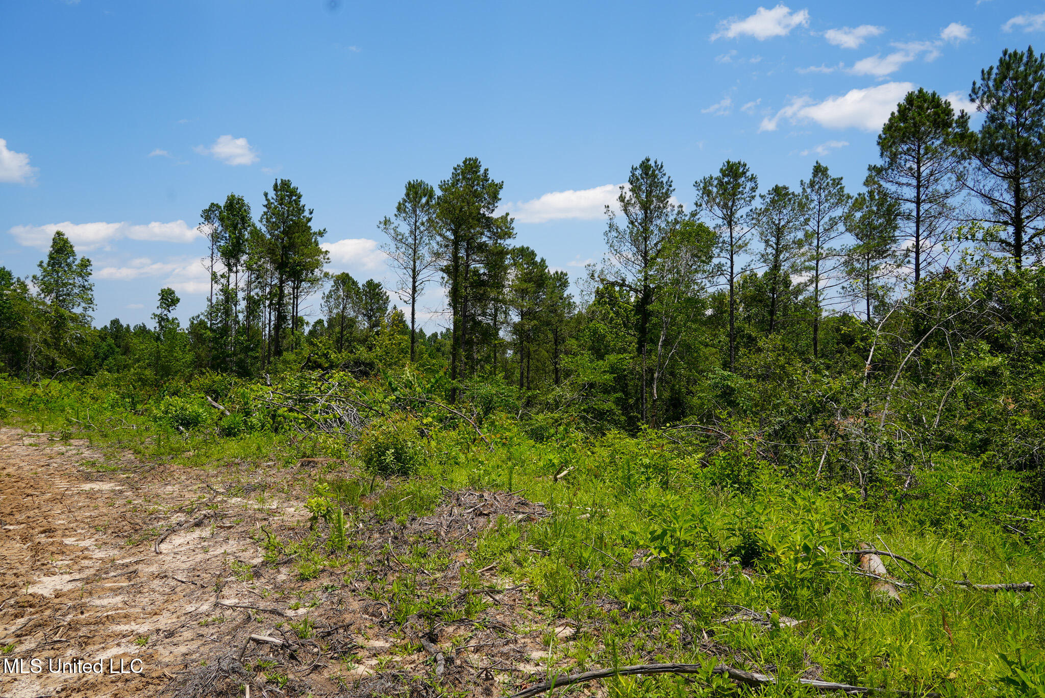 Pleasant Ridge Road Durant, MS 39063 - Photo 37 of 51 DSC01391