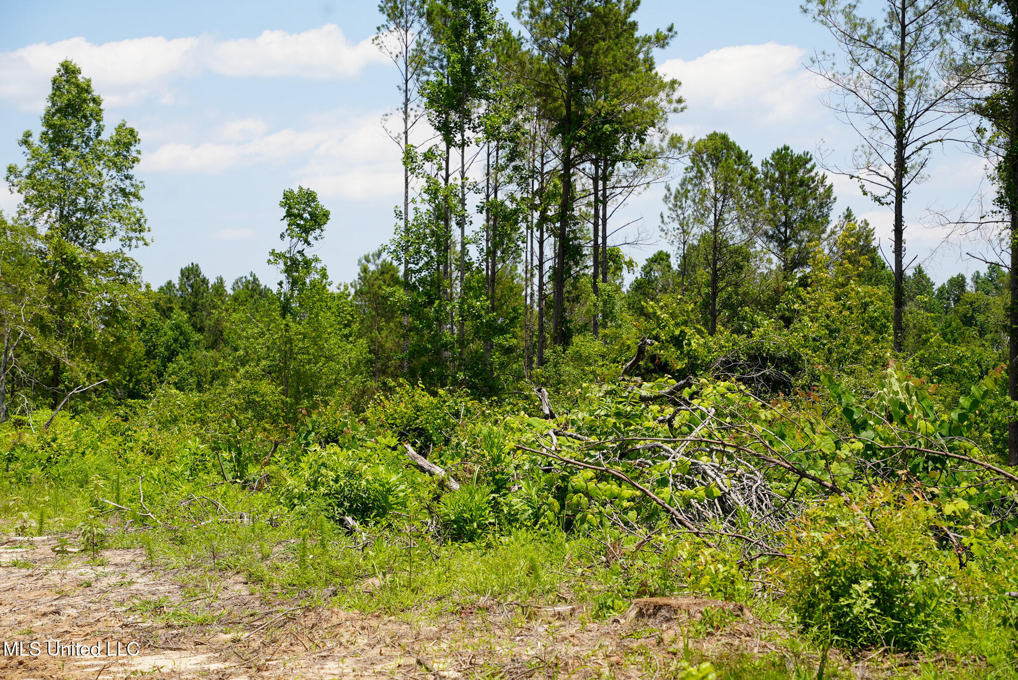 Pleasant Ridge Road Durant, MS 39063 - Photo 38 of 51 DSC01392