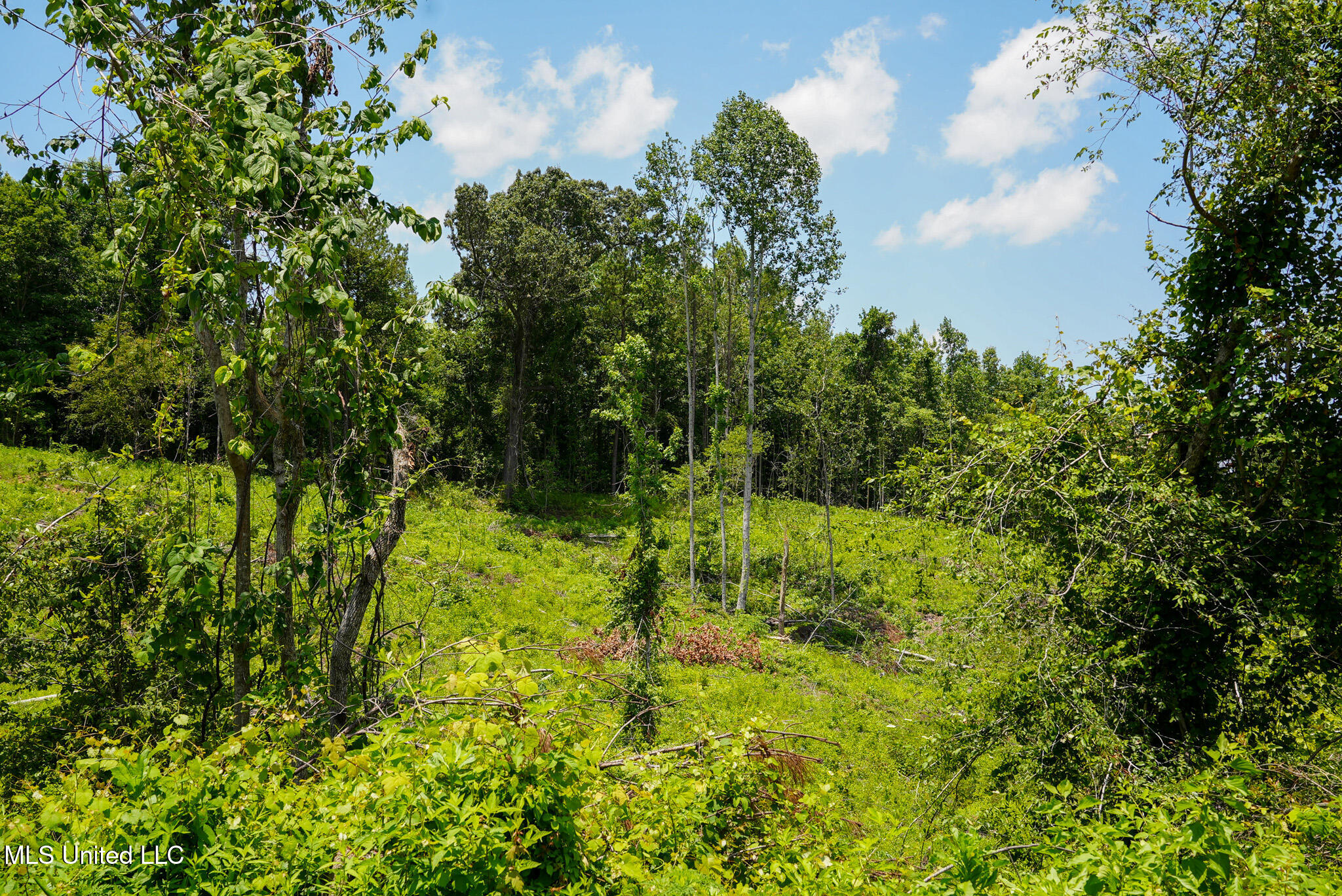 Pleasant Ridge Road Durant, MS 39063 - Photo 39 of 51 DSC01393