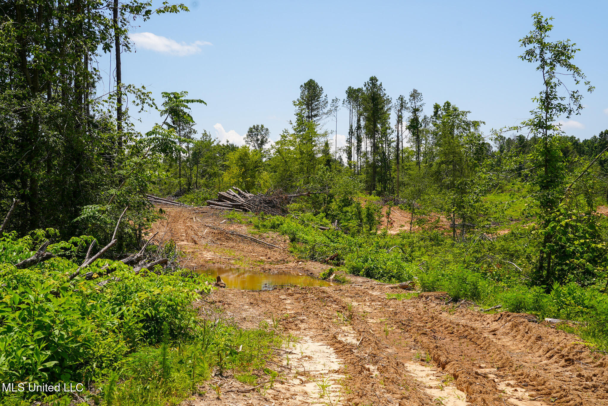 Pleasant Ridge Road Durant, MS 39063 - Photo 40 of 51 DSC01394
