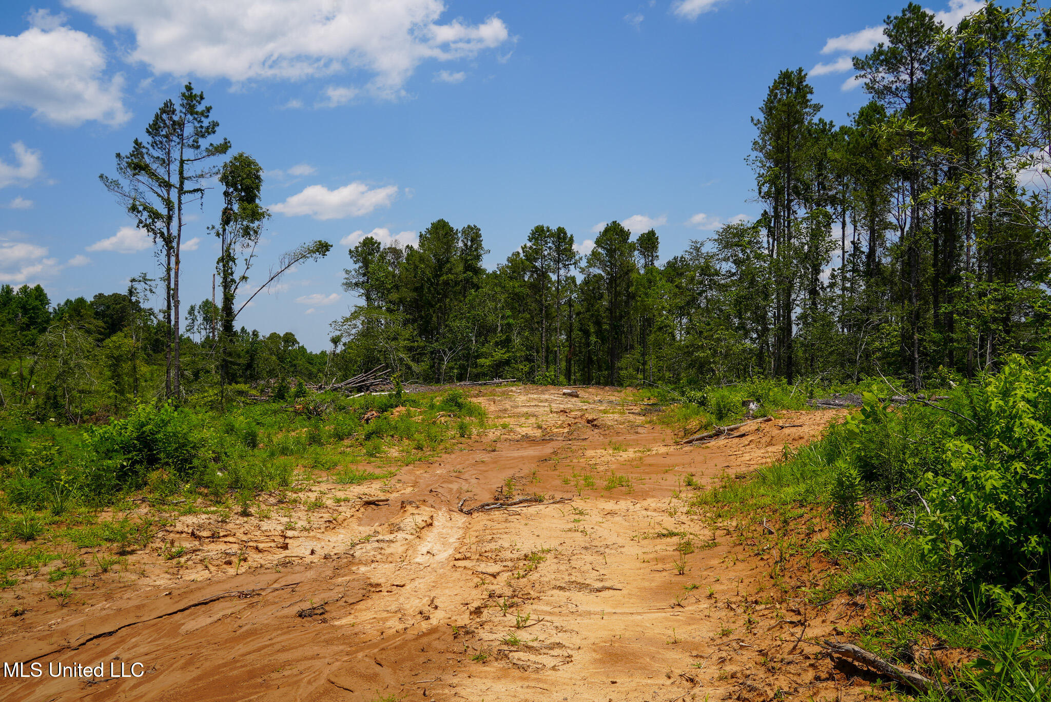 Pleasant Ridge Road Durant, MS 39063 - Photo 4 of 51 DSC01357