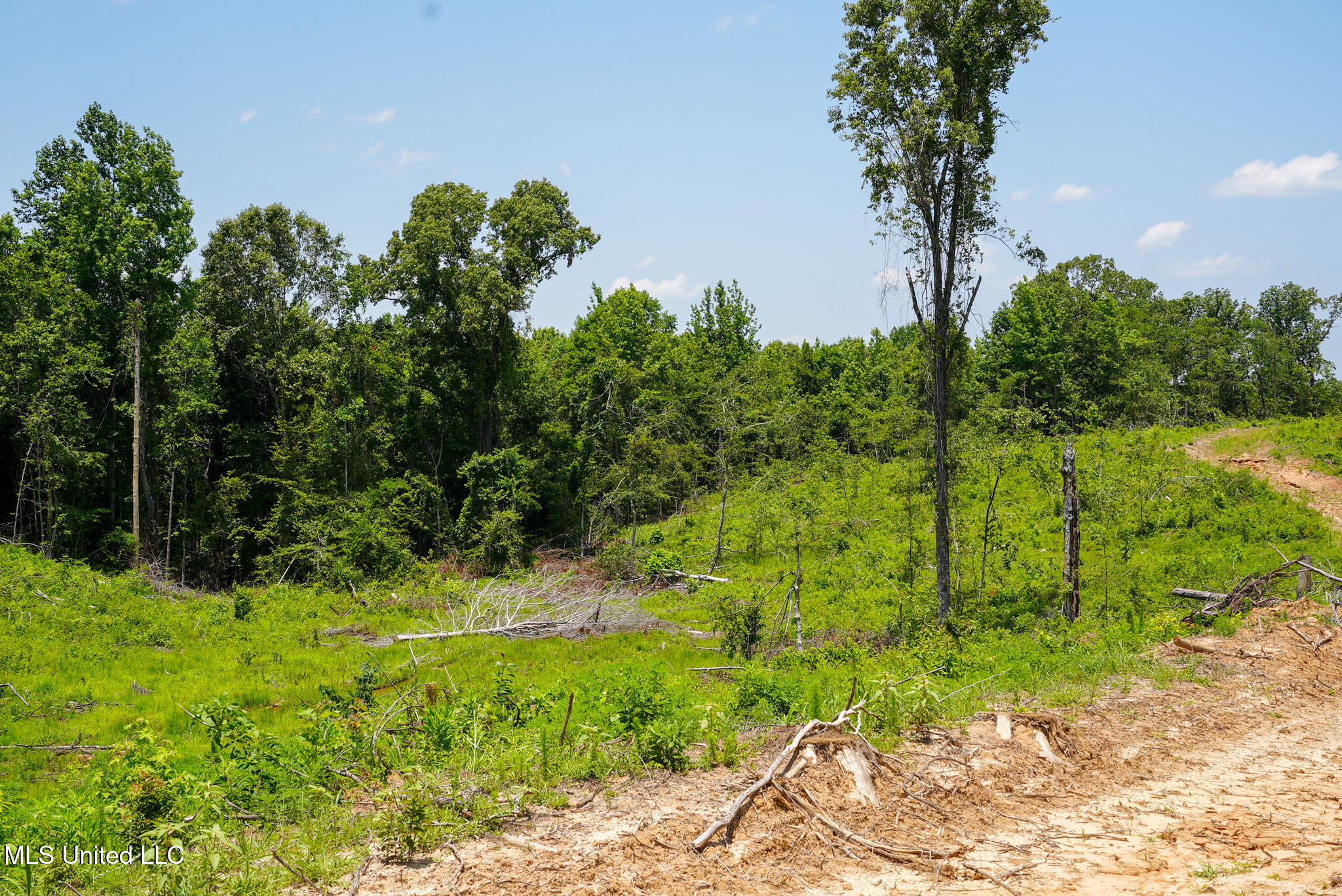 Pleasant Ridge Road Durant, MS 39063 - Photo 43 of 51 DSC01397