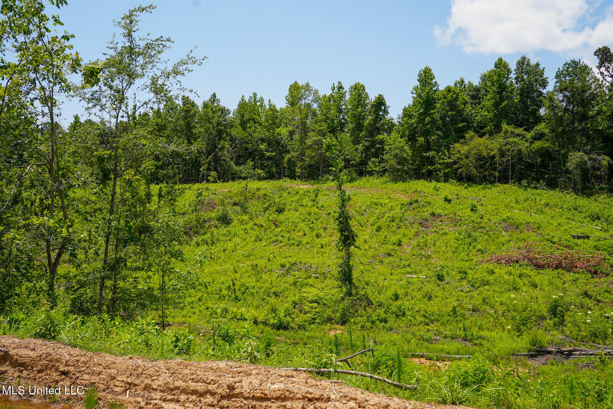Pleasant Ridge Road Durant, MS 39063 - Photo 44 of 51 DSC01398