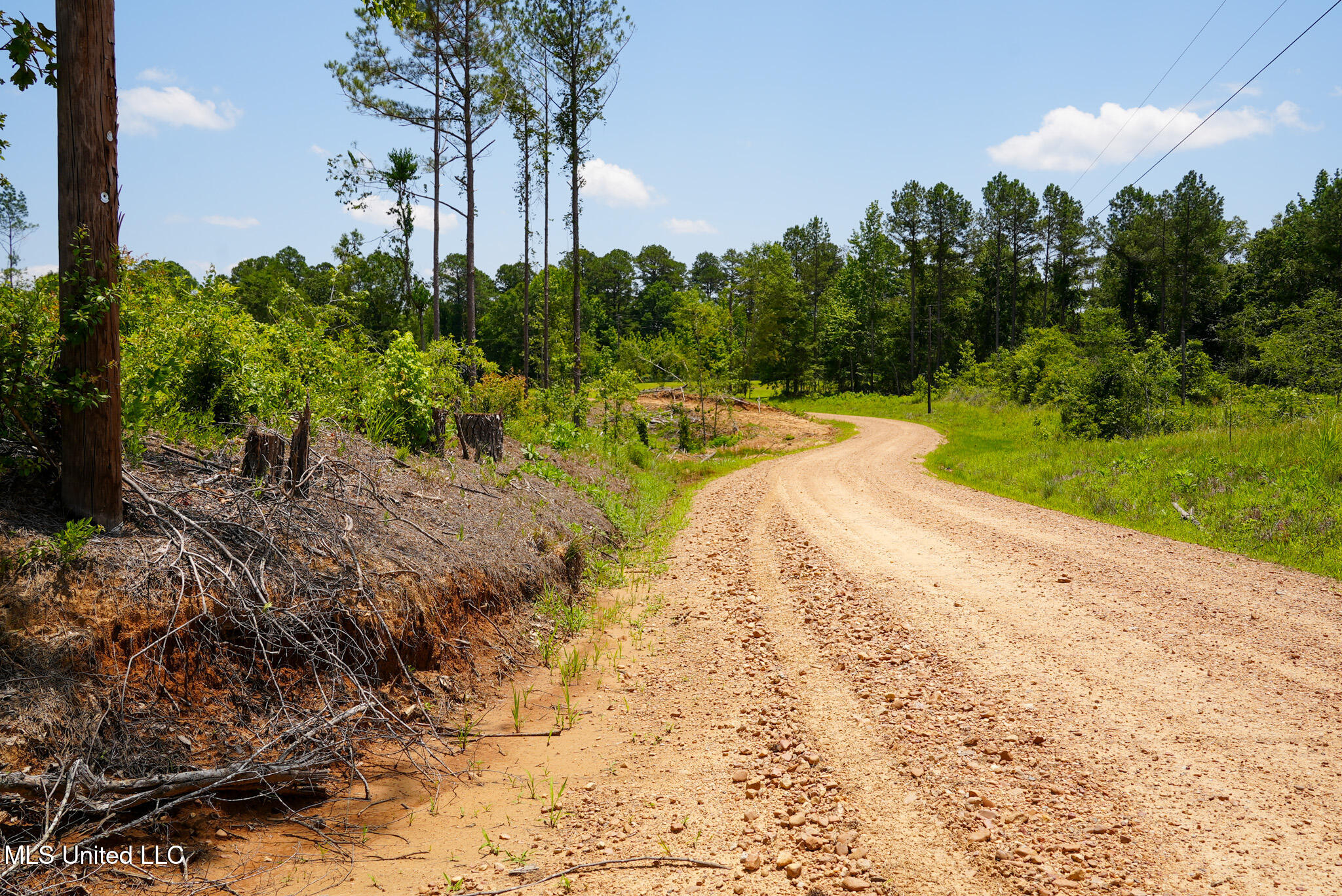 Pleasant Ridge Road Durant, MS 39063 - Photo 45 of 51 DSC01399