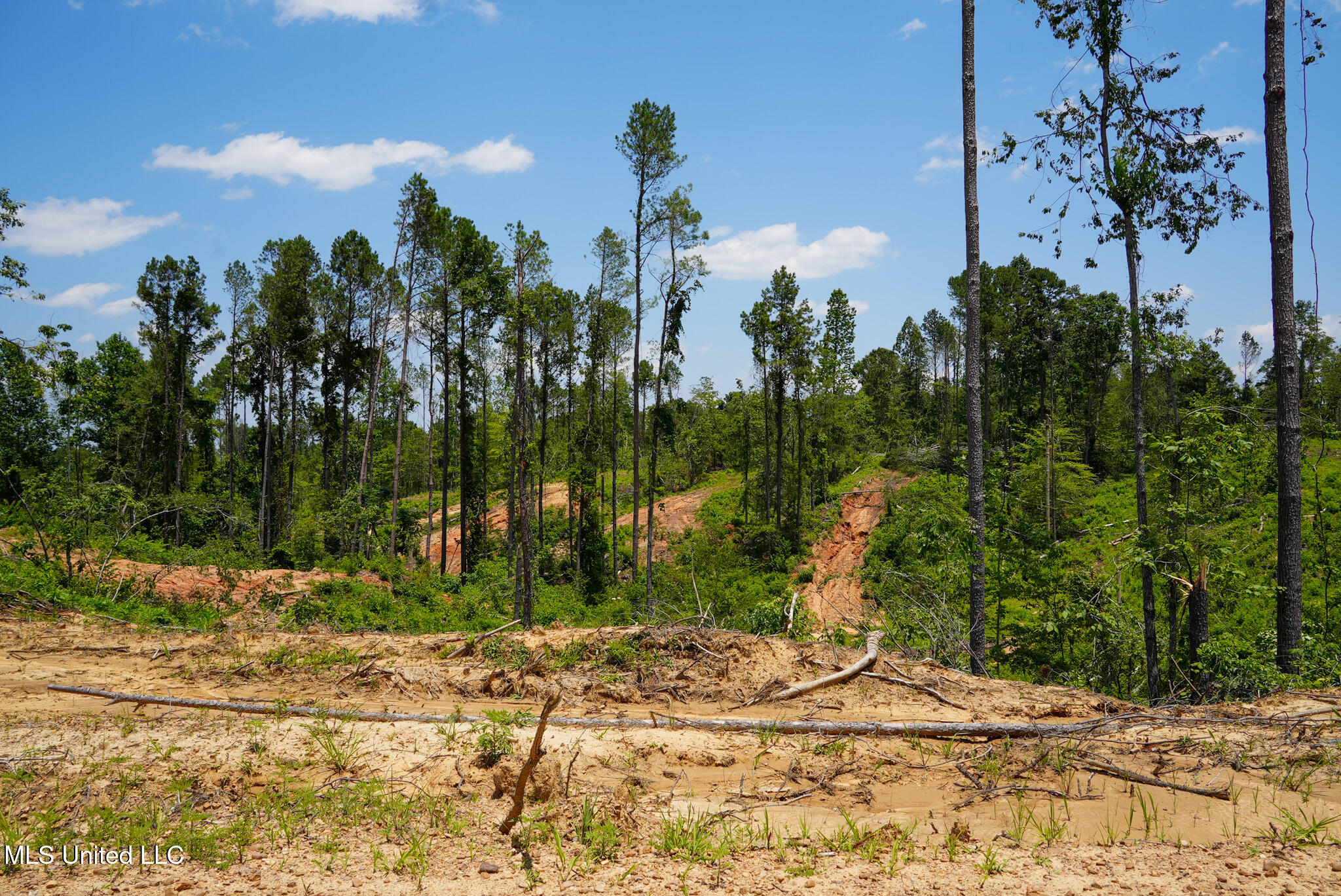 Pleasant Ridge Road Durant, MS 39063 - Photo 46 of 51 DSC01400