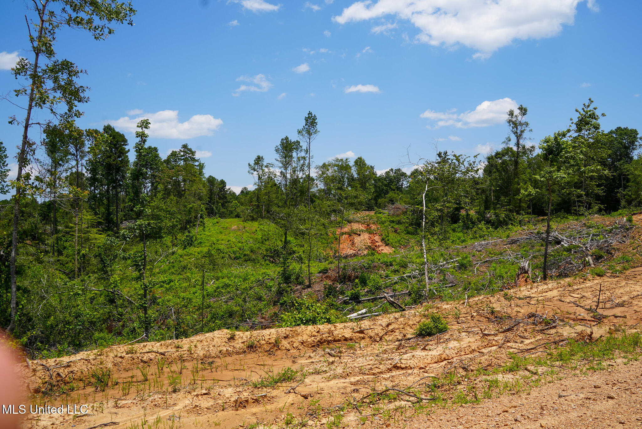 Pleasant Ridge Road Durant, MS 39063 - Photo 47 of 51 DSC01401