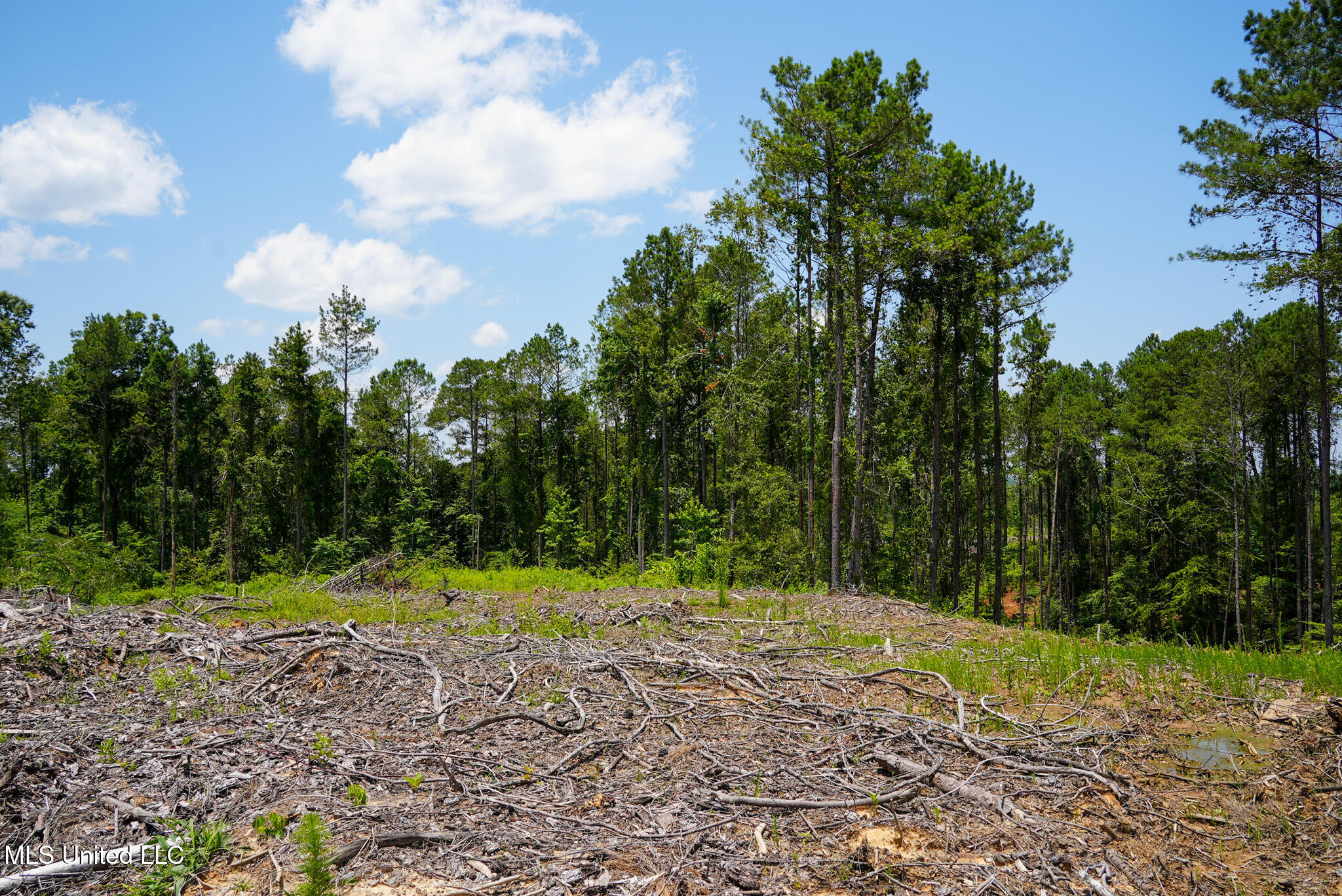 Pleasant Ridge Road Durant, MS 39063 - Photo 48 of 51 DSC01402
