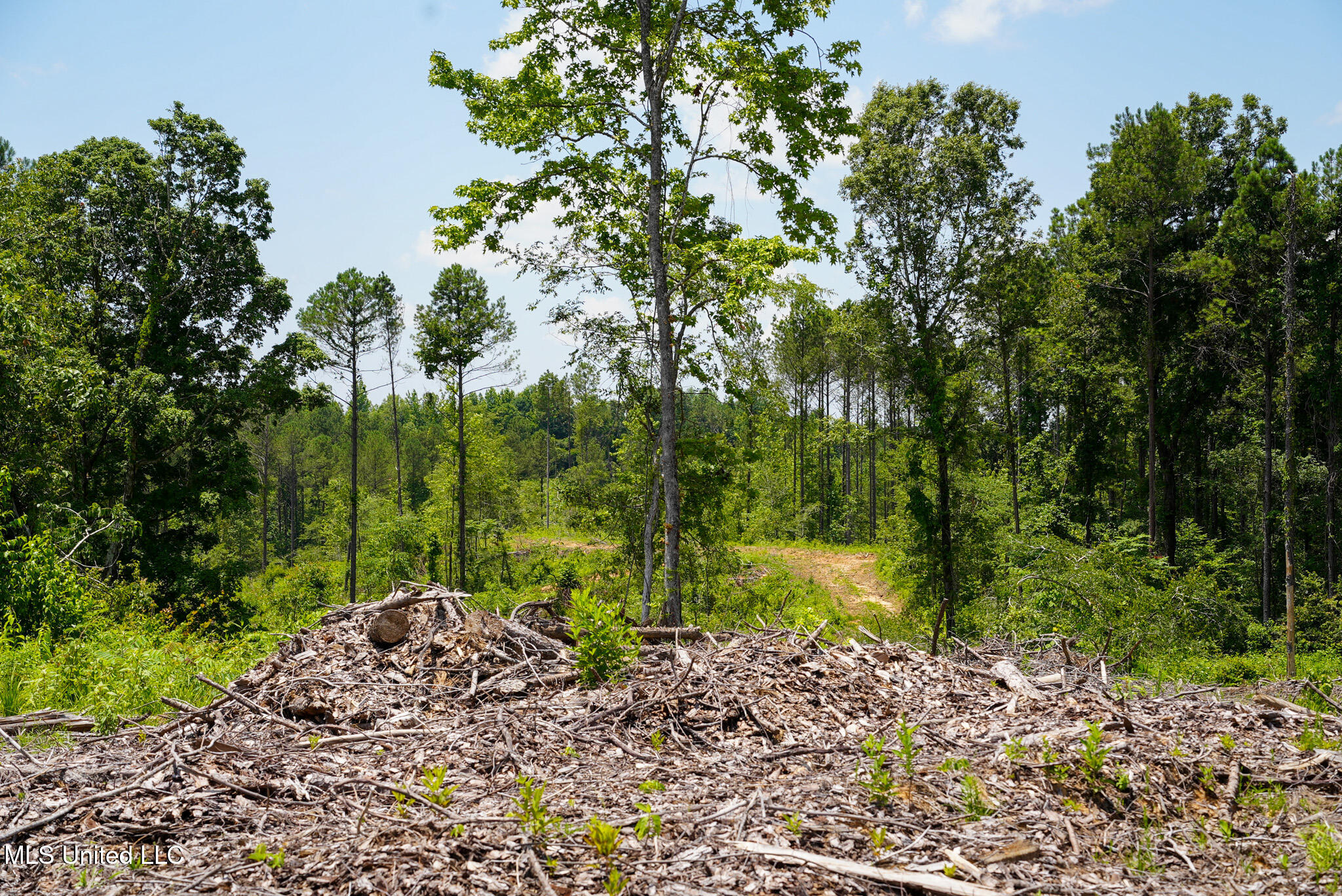 Pleasant Ridge Road Durant, MS 39063 - Photo 49 of 51 DSC01403
