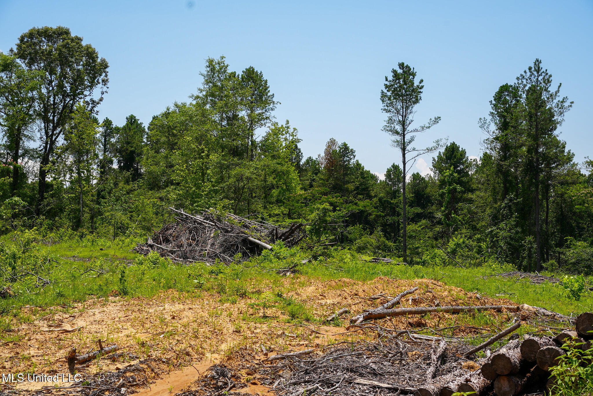 Pleasant Ridge Road Durant, MS 39063 - Photo 50 of 51 DSC01404