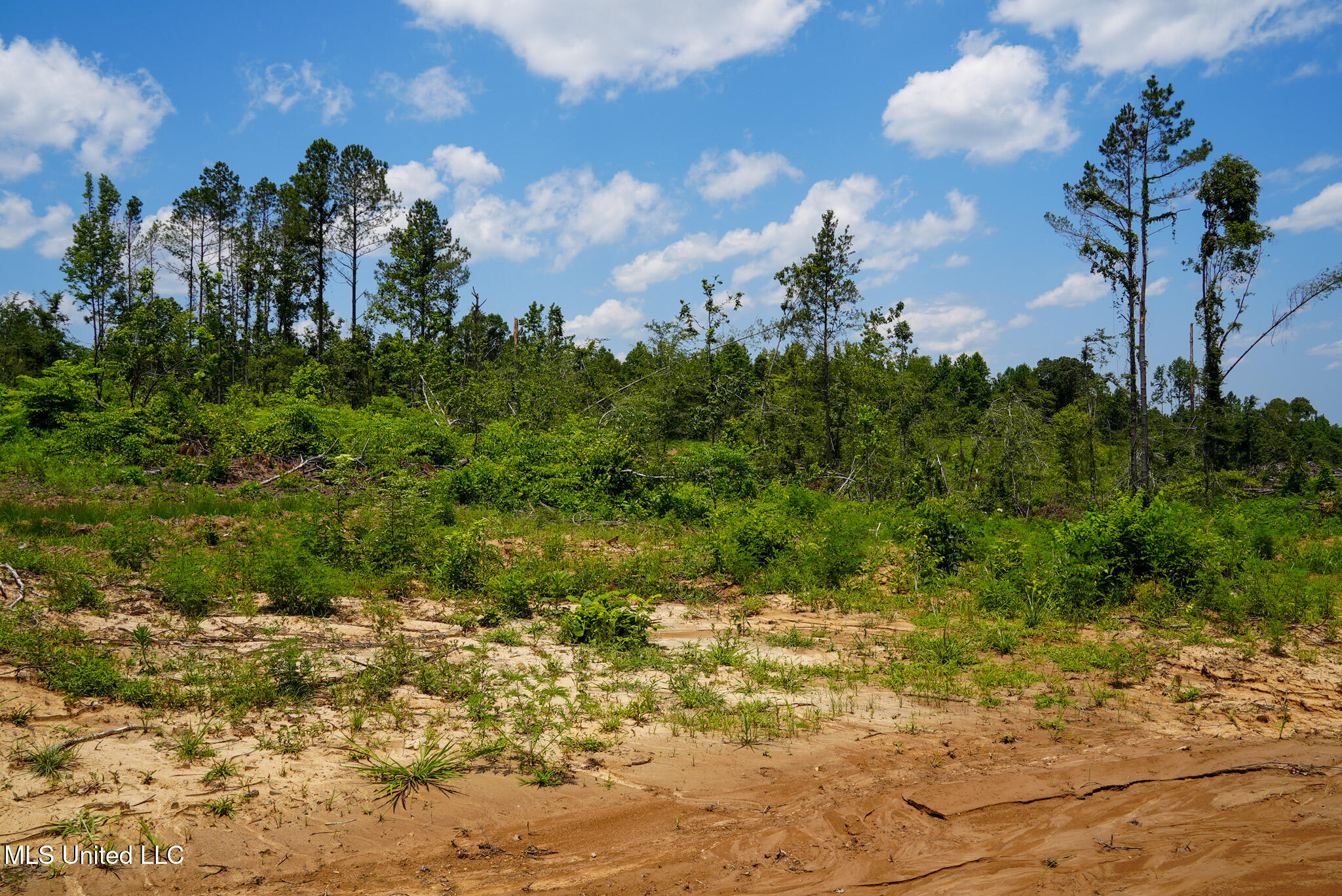 Pleasant Ridge Road Durant, MS 39063 - Photo 5 of 51 DSC01358