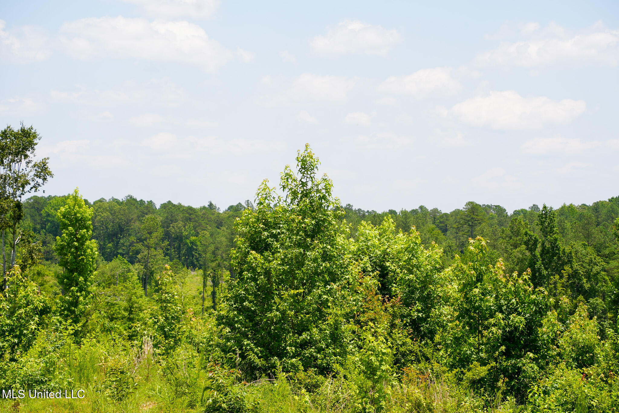 Pleasant Ridge Road Durant, MS 39063 - Photo 51 of 51 DSC01405