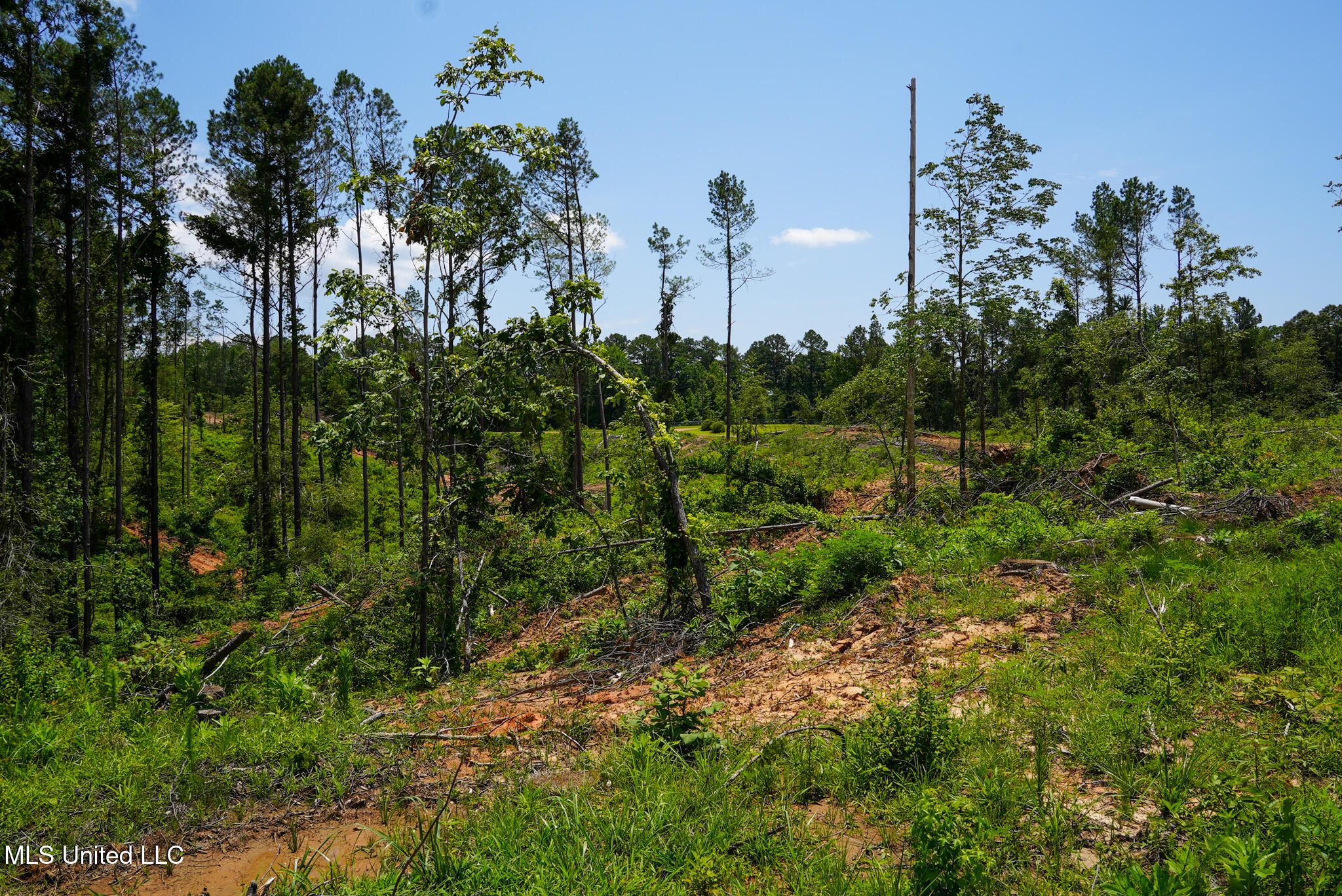 Pleasant Ridge Road Durant, MS 39063 - Photo 7 of 51 DSC01360