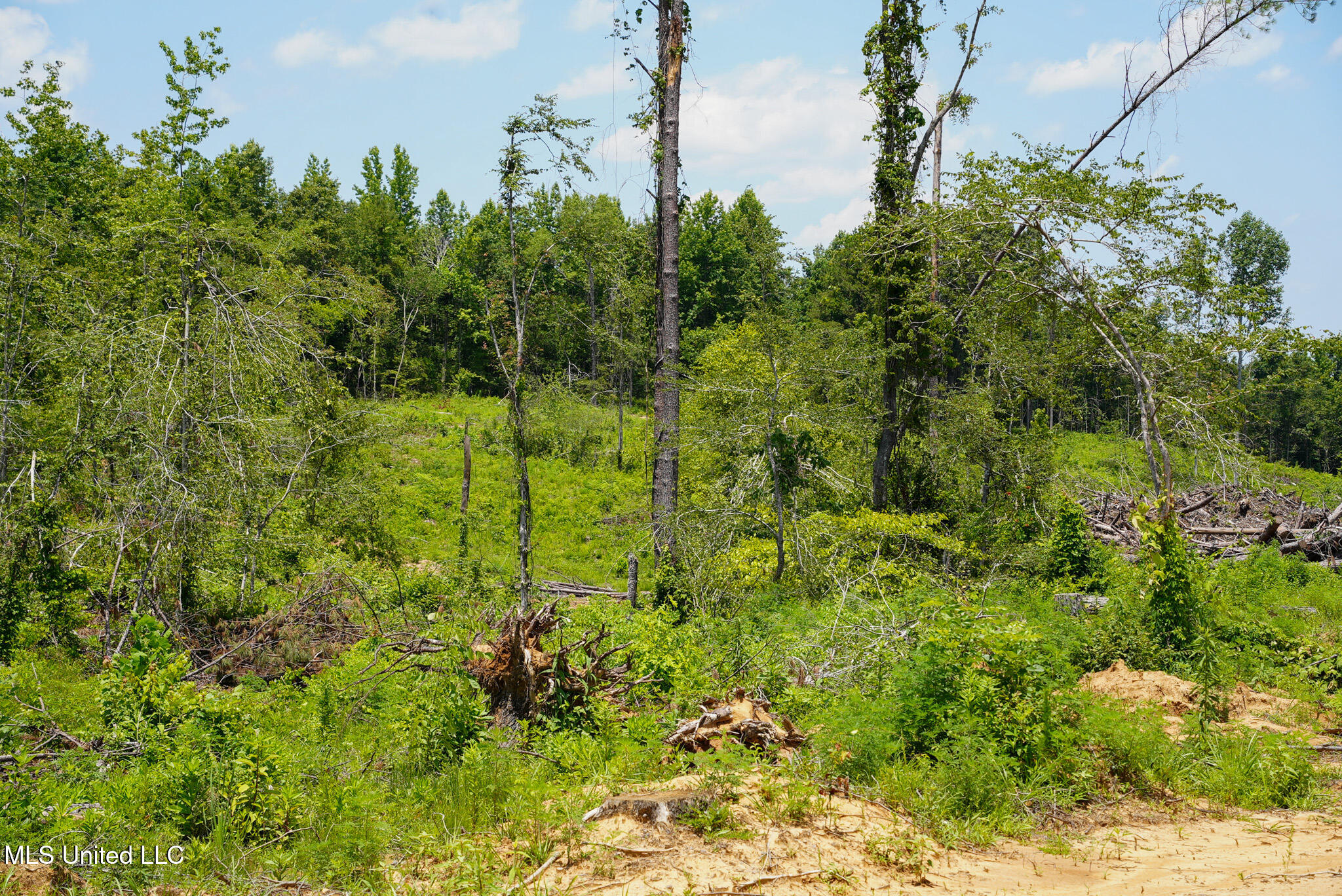 Pleasant Ridge Road Durant, MS 39063 - Photo 10 of 51 DSC01363