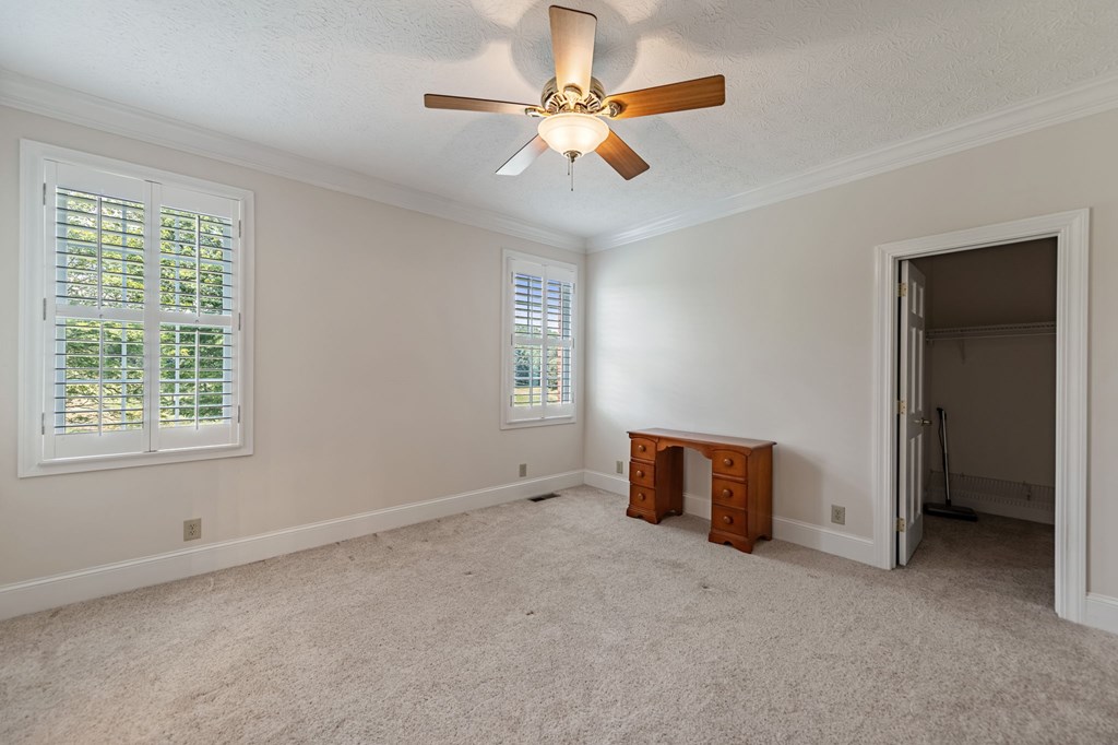 684 Windy Valley Farm Blue Ridge, GA 30513 - Photo 42 of 80 Gallery Image 42