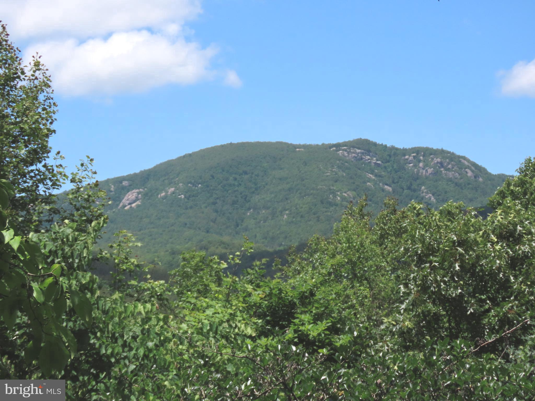 3016 Etlan Road Etlan, VA 22719 - Photo 6 of 42 Old Rag Mountain to the West