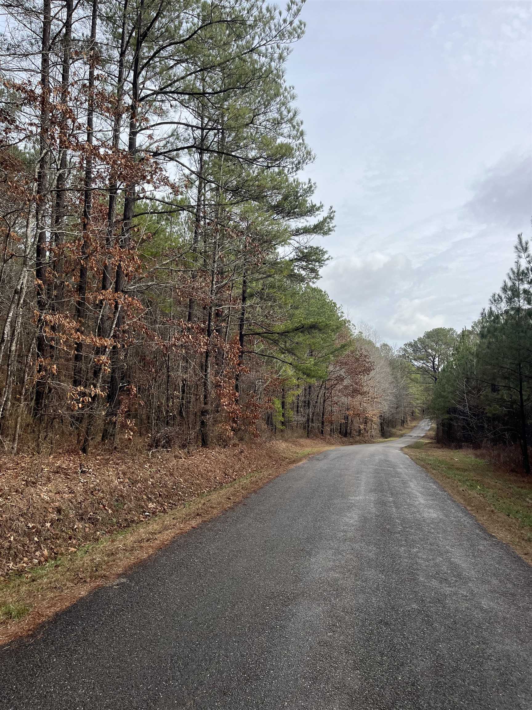 0 Cr 324 Road West Iuka, MS 38852 - Photo 3 of 10 View of asphalt road with a forest view