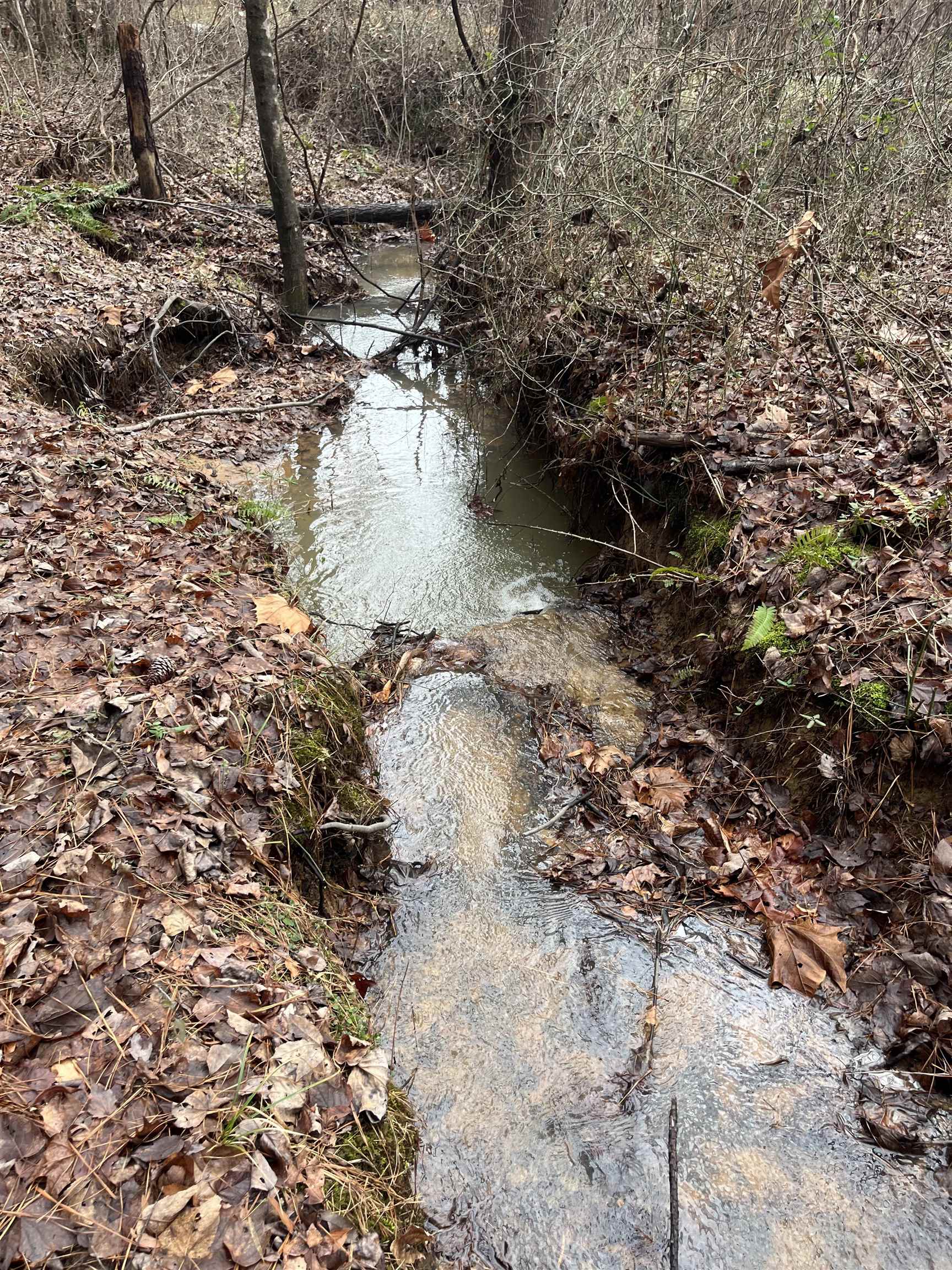 0 Cr 324 Road West Iuka, MS 38852 - Photo 4 of 10 Exterior view