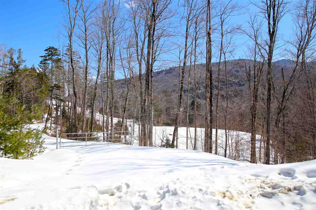 240 Hillside Terrace Rochester, VT 05767 - Photo 28 of 40 Gallery Image 28