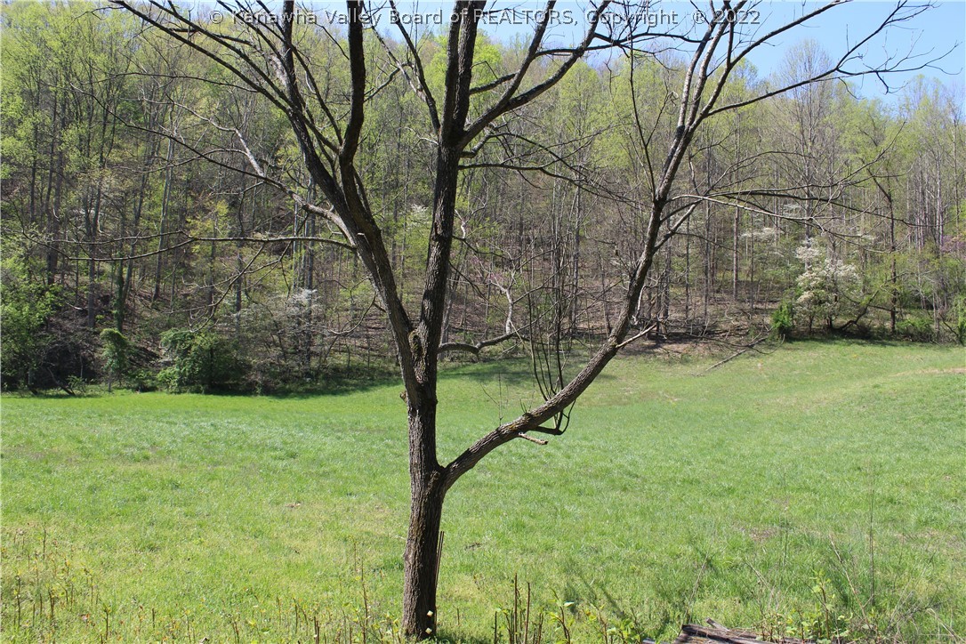 1767 Aarons Fork Road Elkview, WV 25071 - Photo 44 of 50 Gallery Image 44