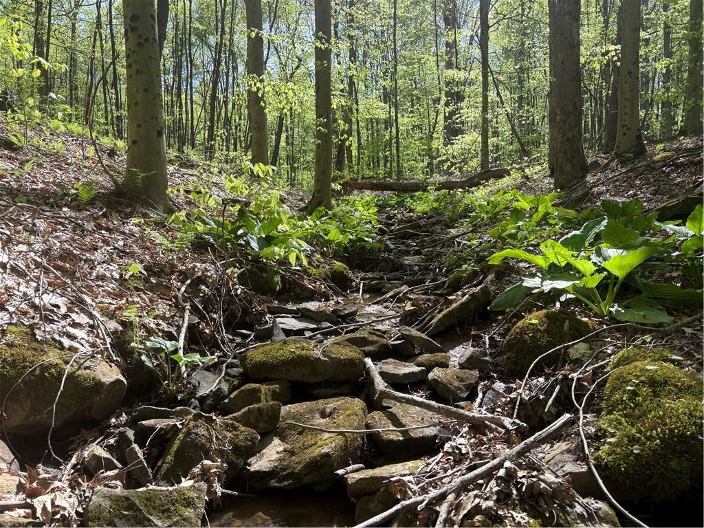 Lot 3-4 Killarney Road Mill Run, PA 15464 - Photo 11 of 29 Gallery Image 11