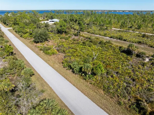 a view of a forest with an outdoor space