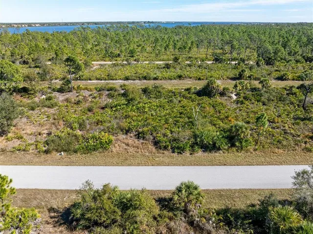 a view of a yard with an outdoor space