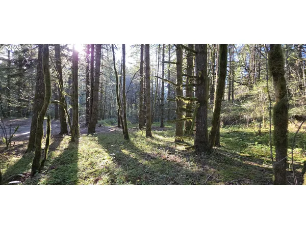$249,500 | Southwest Tanner Creek Road, Gaston, OR 97119