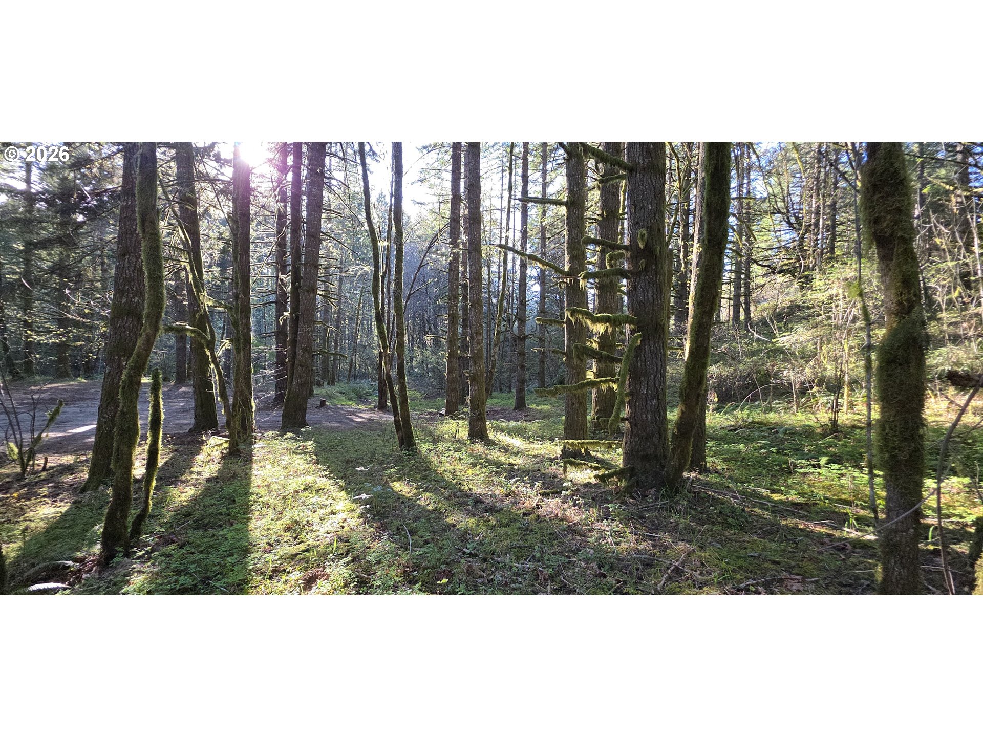 Southwest Tanner Creek Road Gaston, OR 97119 - Photo 14 of 37