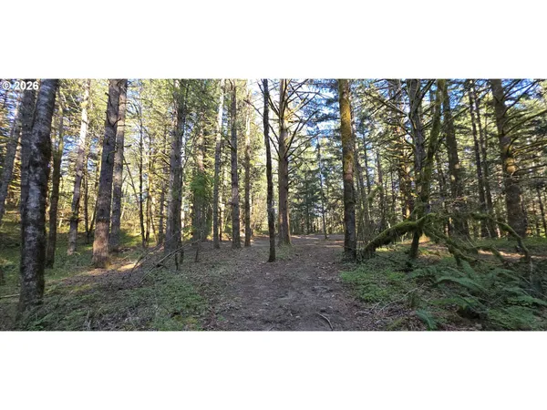 $249,500 | Southwest Tanner Creek Road, Gaston, OR 97119