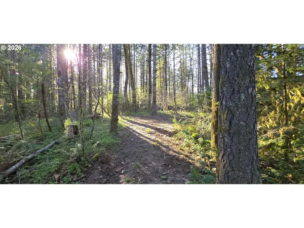$249,500 | Southwest Tanner Creek Road, Gaston, OR 97119