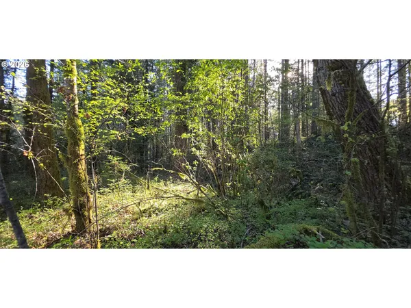$249,500 | Southwest Tanner Creek Road, Gaston, OR 97119
