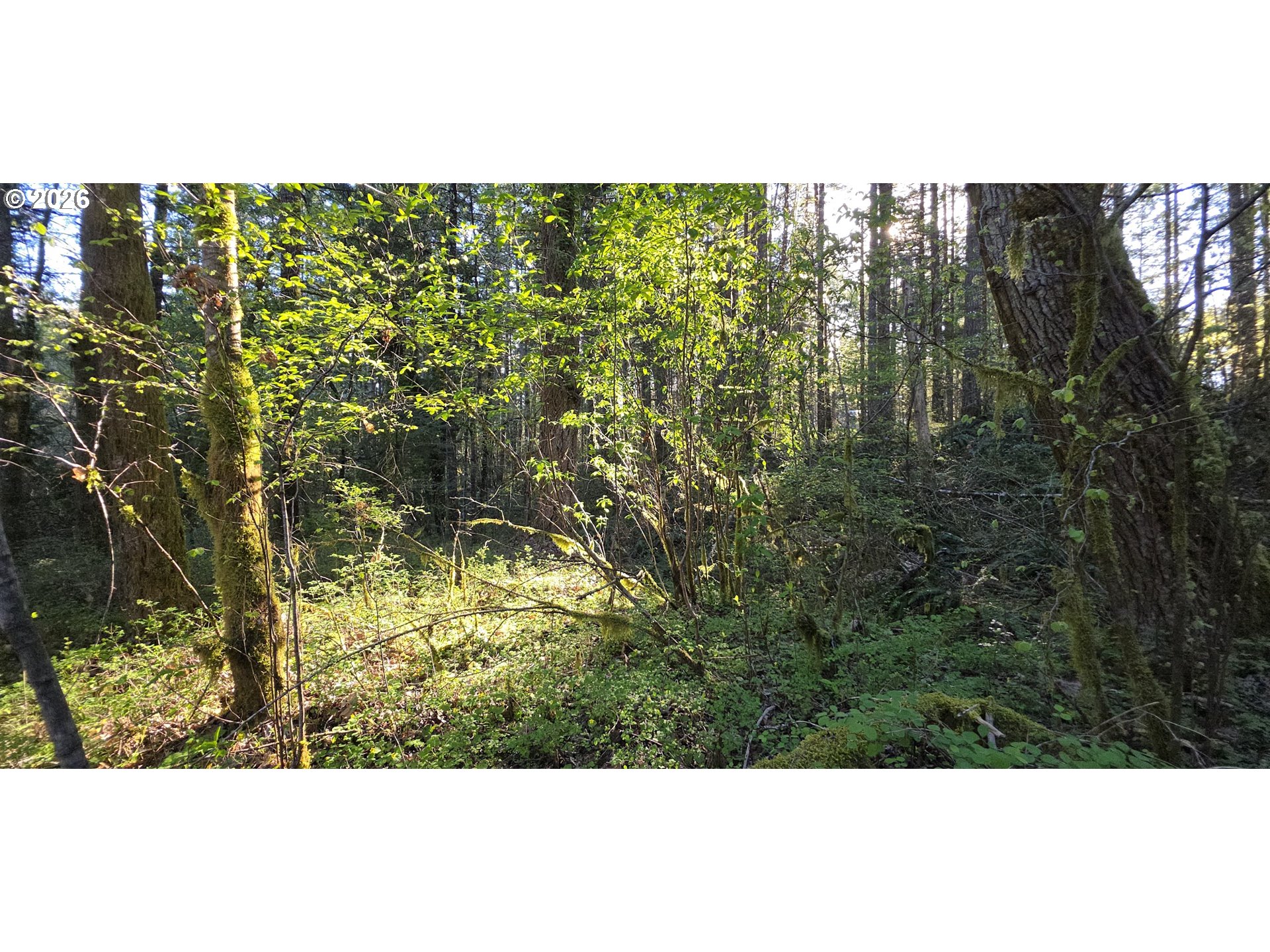 Southwest Tanner Creek Road Gaston, OR 97119 - Photo 18 of 37