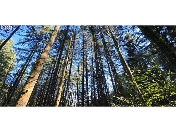 $249,500 | Southwest Tanner Creek Road, Gaston, OR 97119