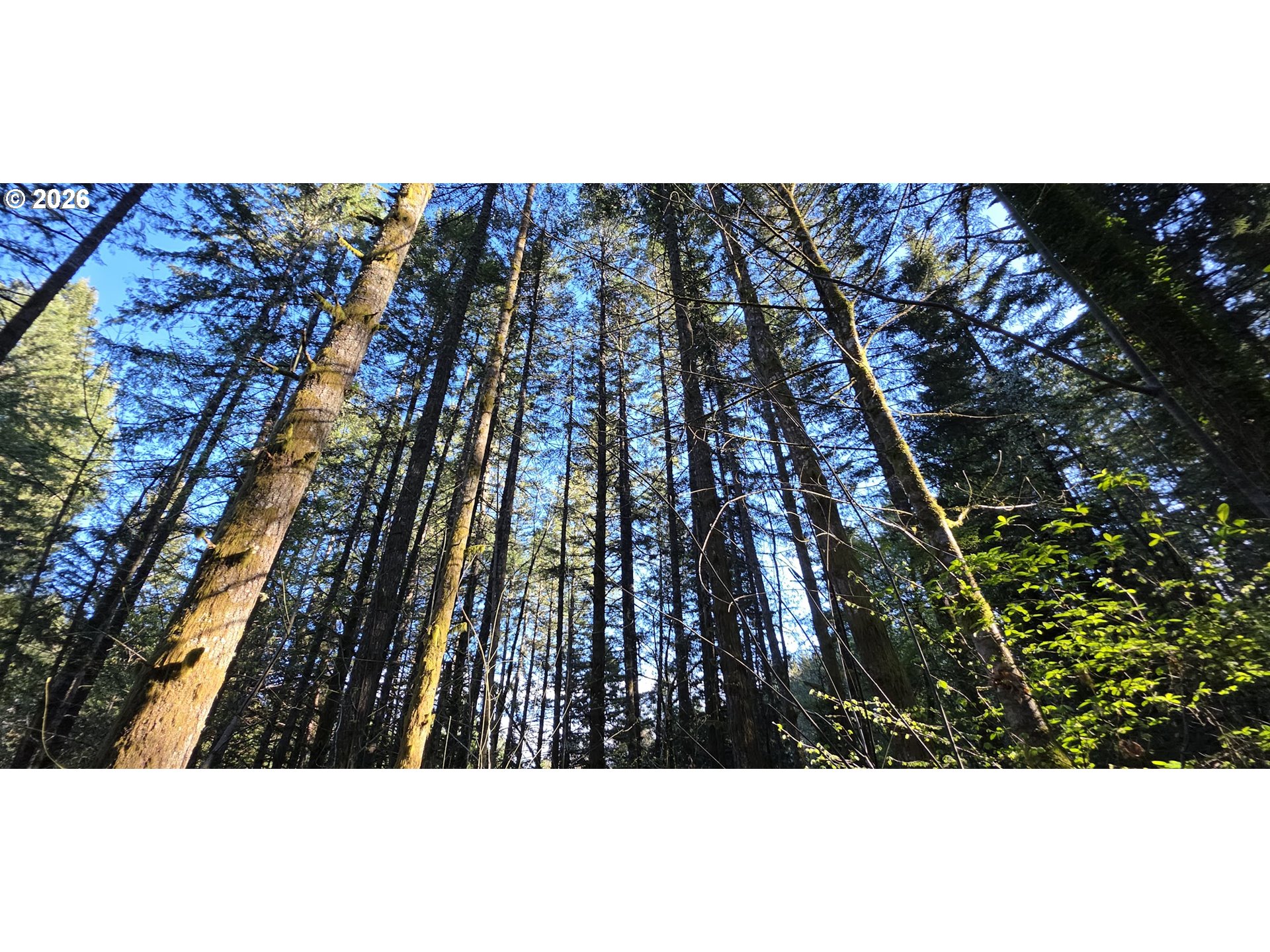 Southwest Tanner Creek Road Gaston, OR 97119 - Photo 19 of 37