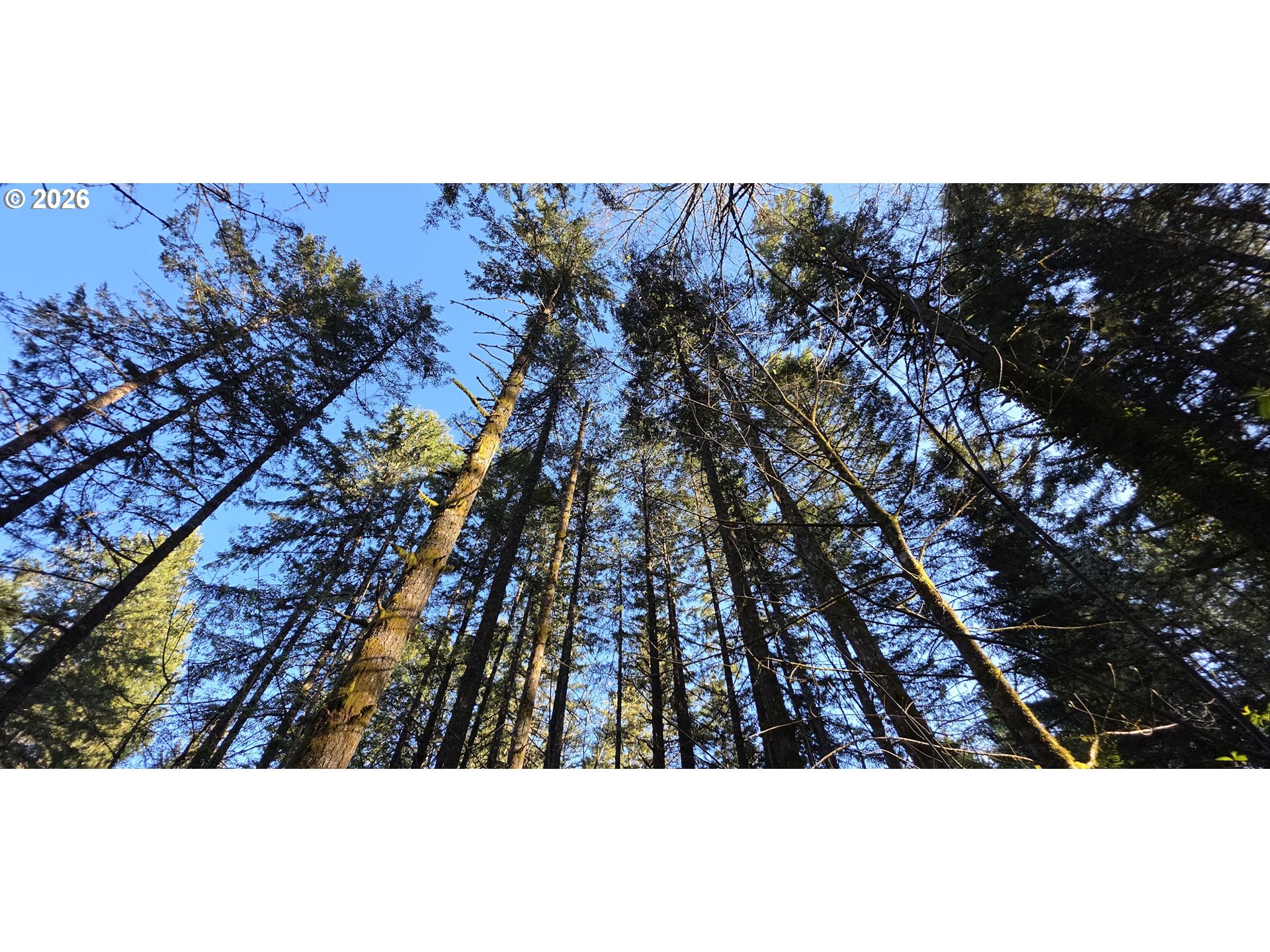 Southwest Tanner Creek Road Gaston, OR 97119 - Photo 20 of 37